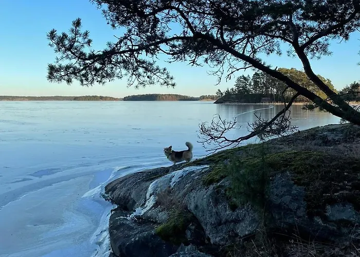 Rantaniemi 12-20 Beds 别墅 *